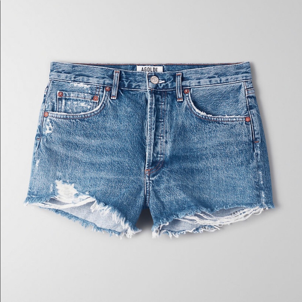 Agolde Parker shorts in Rocksteady